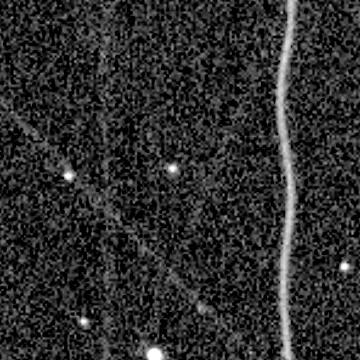 Star field recorded on 2021-10-11