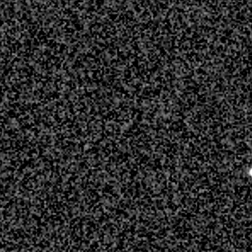 Star field recorded on 2023-12-29